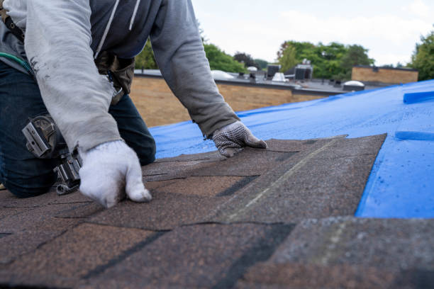Roof Gutter Cleaning in Fowlerville, MI
