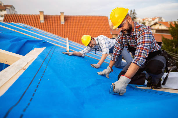 Best Roof Leak Repair  in Fowlerville, MI