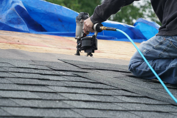 Best Roof Gutter Cleaning  in Fowlerville, MI