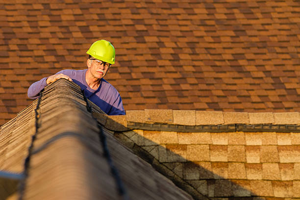 Best Roof Gutter Cleaning  in Fowlerville, MI